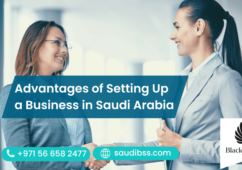 Advantages of Setting Up a Business in Saudi Arabia