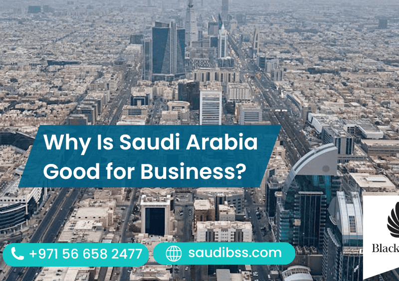 Why Is Saudi Arabia Good for Business?