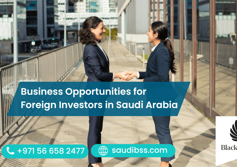 Business Opportunities for Foreign Investors in Saudi Arabia