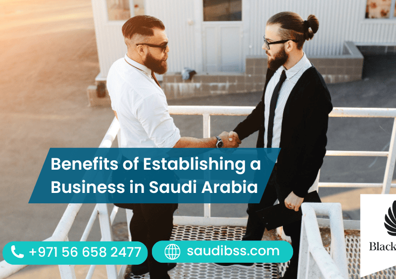 Benefits of Establishing a Business in Saudi Arabia
