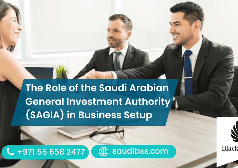 The Role of the Saudi Arabian General Investment Authority (SAGIA) in Business Setup